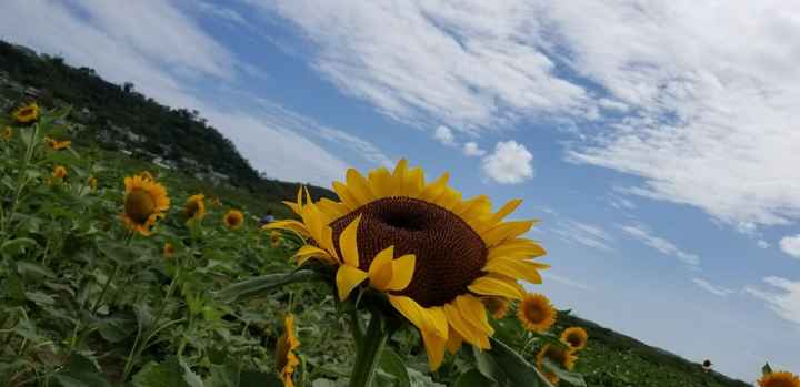 Has anyone been to San Juan, pr for their honeymoon is are planning to go there? - 2