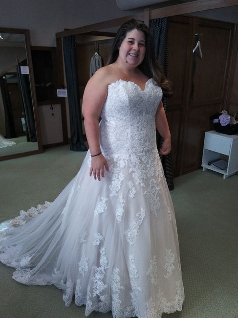 Dress Help! Please post your gowns!! 2