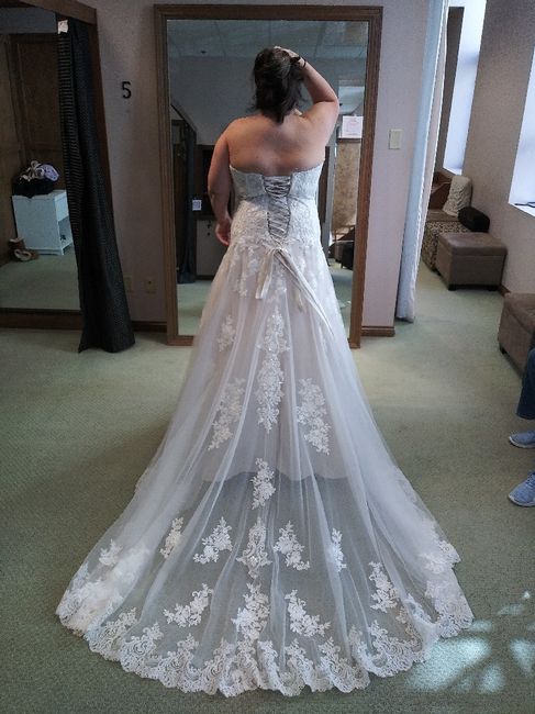 So Im plus size !!! wedding dress shopping ! 4