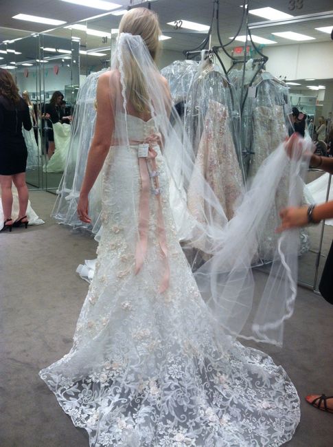 I said YES TO THE DRESS!!! Pictures Included!