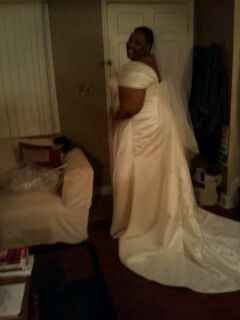 Last Dress Fitting..What Do You Think Pics Included