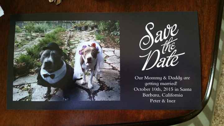 Will your Fur Baby be in your Wedding????