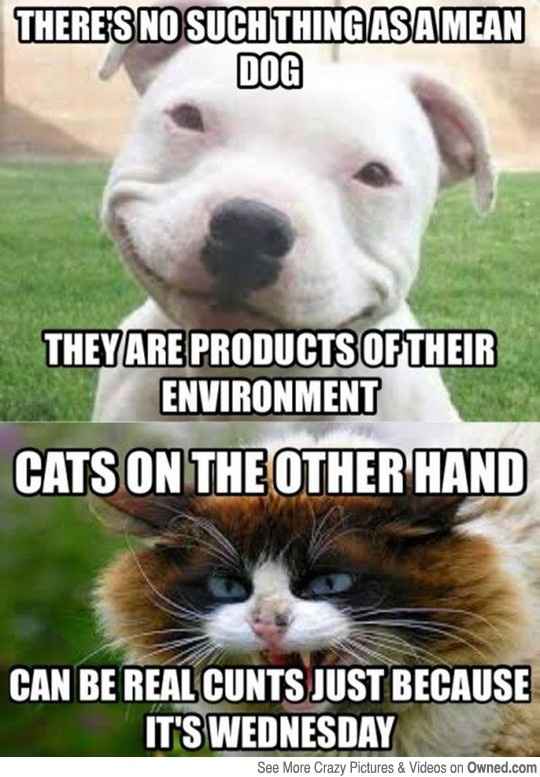 Spin-Off : Feeding the Trolls