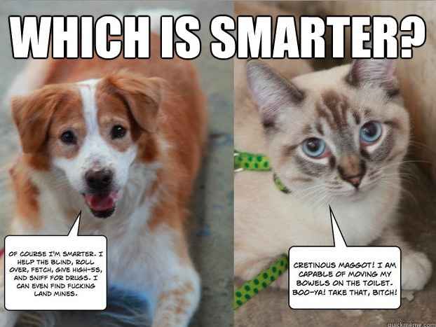 Spin-Off : Feeding the Trolls