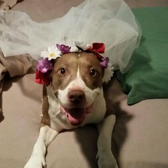 Its Fursday! Show me your furbabies! :)