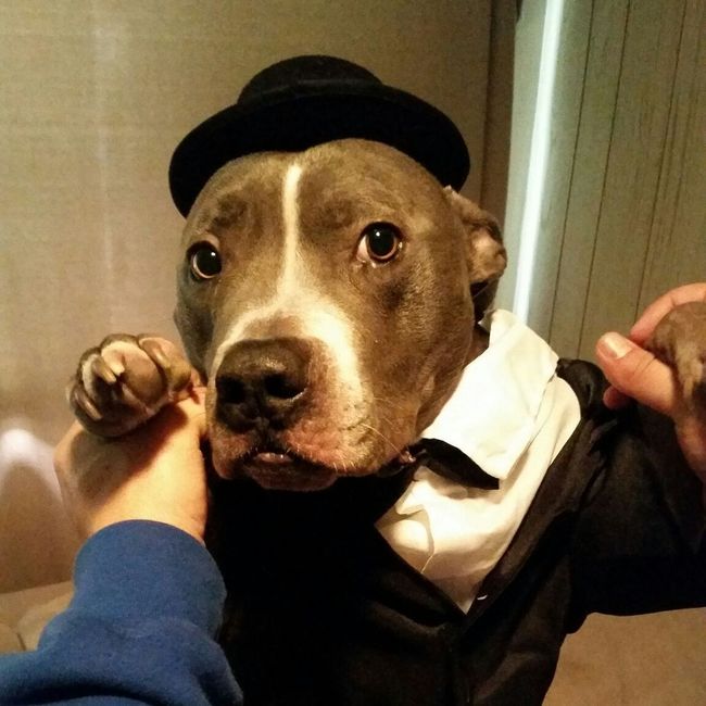 Dear Remi and Killian: