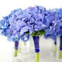 Makeup/nail polish color opinions, please! - 2