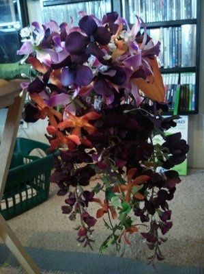 Want to see flowers!!!