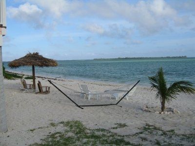 Show me your HONEYMOON!