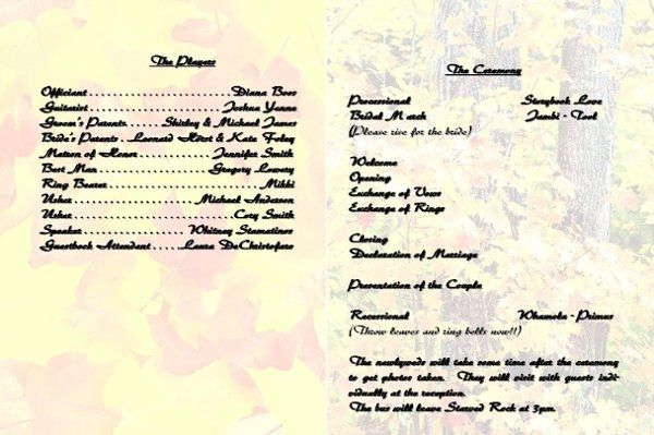 DIY programs