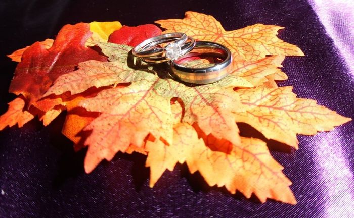 The wedding, the recap, the pics!