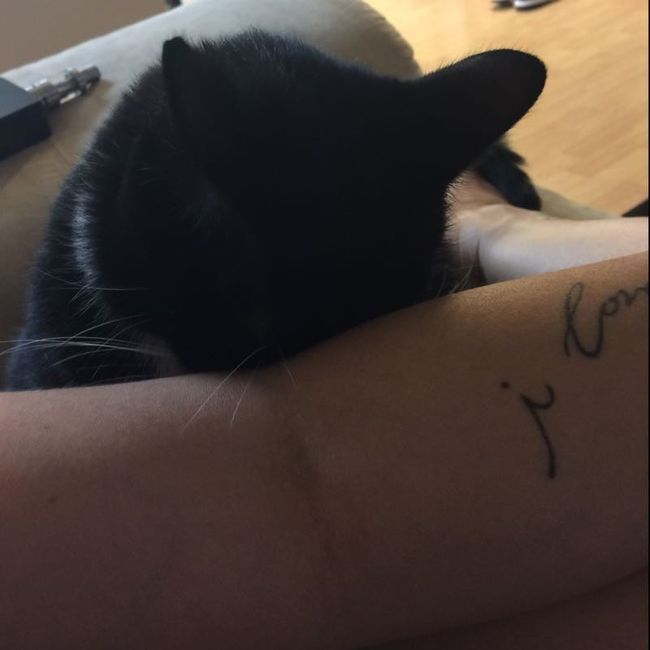 NWR: Sullen Teenage Cat Years