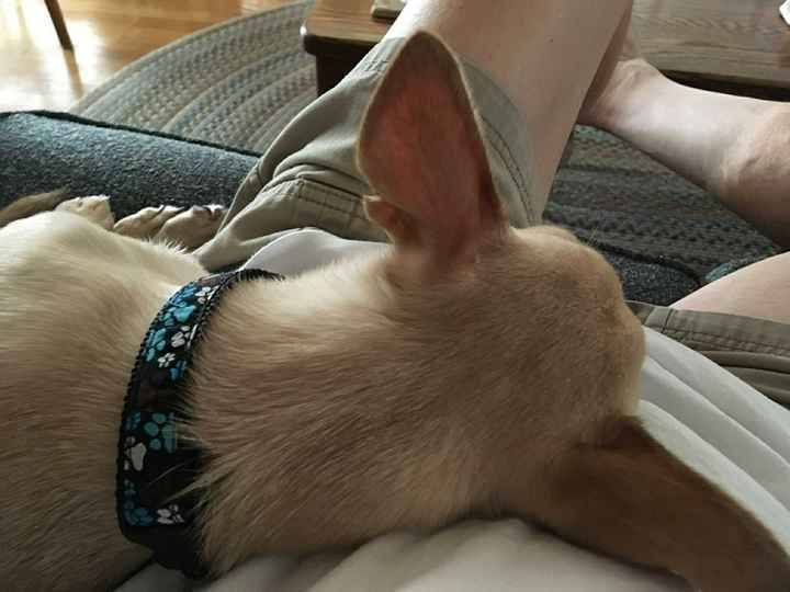 KWR-sharing some cuteness today.