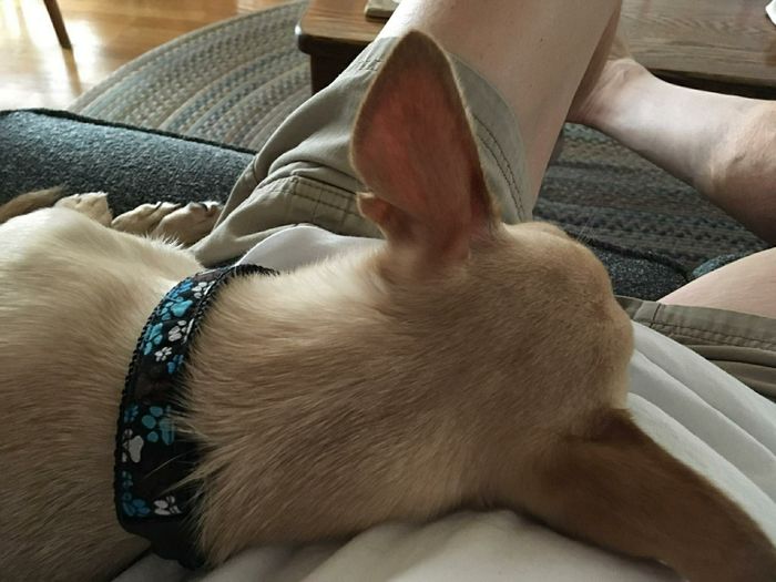 KWR-sharing some cuteness today.