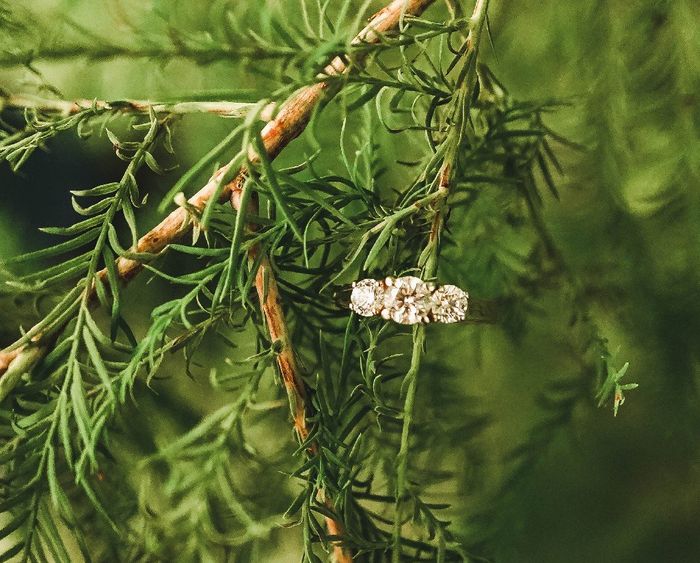 Engagement Rings: Expectation vs. Reality! 12