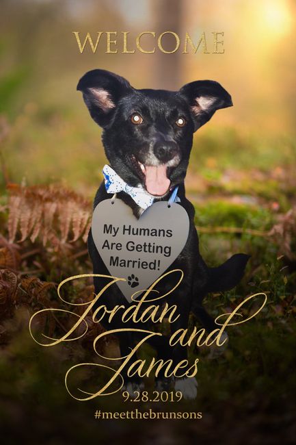 Pet wedding signs 1