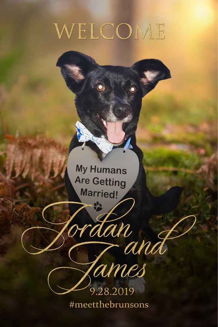 Pet wedding signs - 1