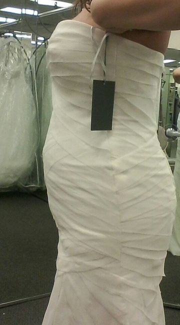 dress opinion wanted