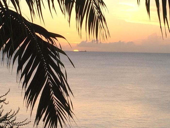 Back from st lucia!