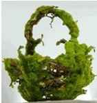 Decoration Ideas Site... (wow!)