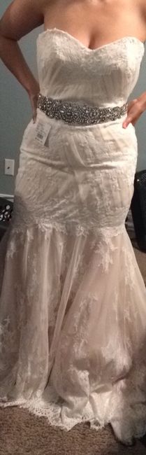 Belt or no belt???