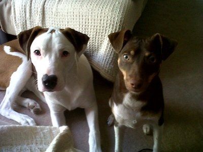 Adopted our 1st baby! (PICS)