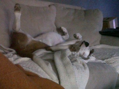 NWR:  My little Stinker