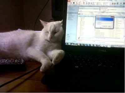 NWR: Show off your fur baby!