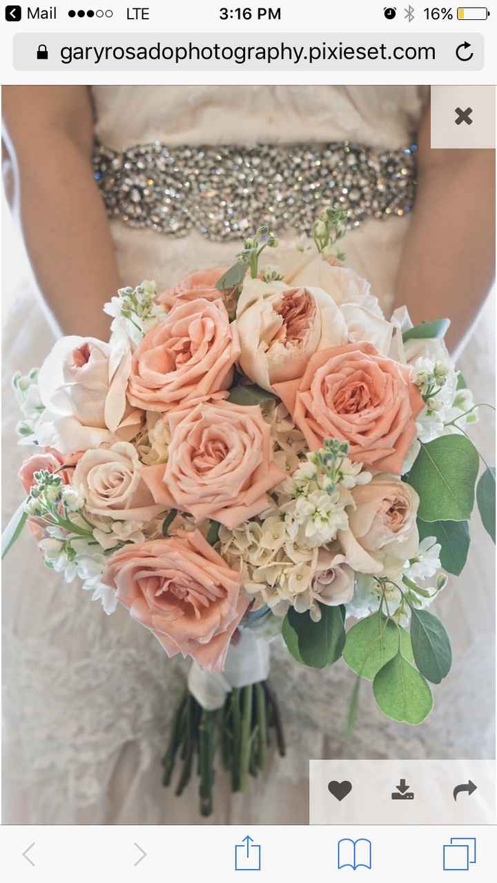 BAM- Photo heavy and day of details