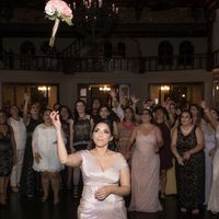 BAM- Photo heavy and day of details