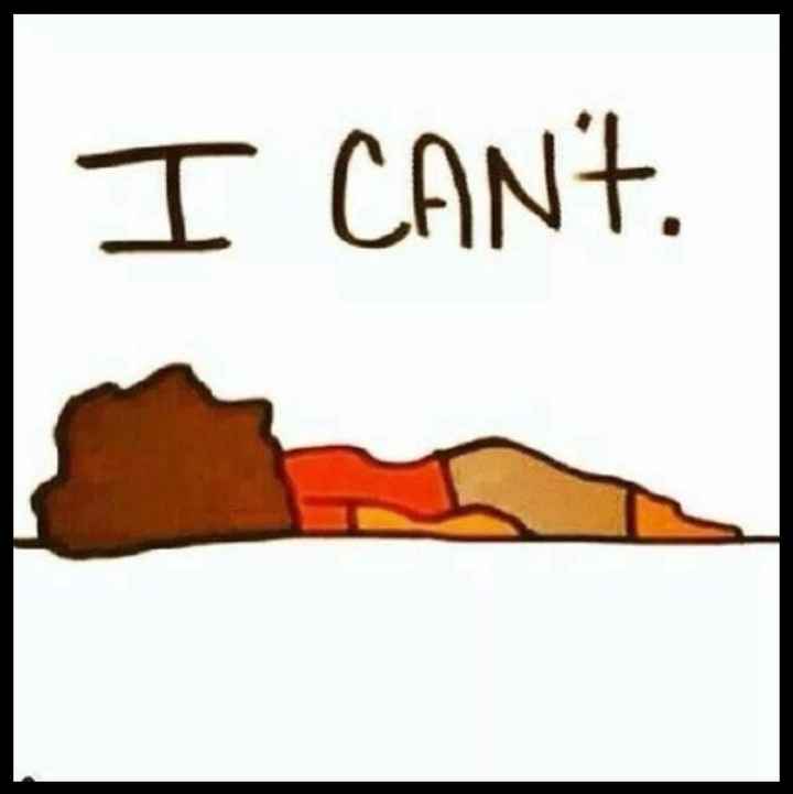 NWR: New show on TLC