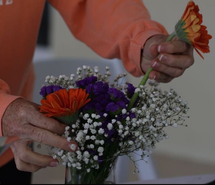 Gerbera Daisies - 1