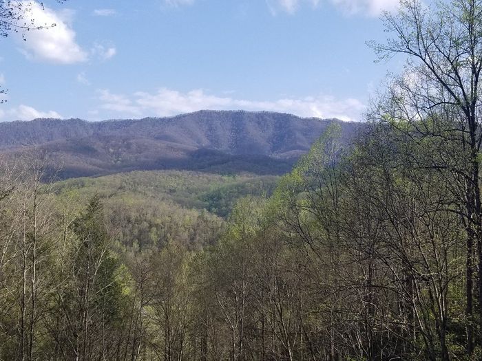 View from our cabin