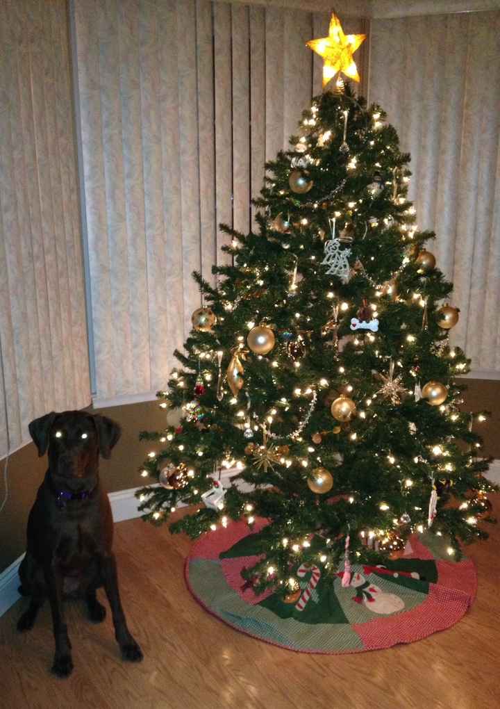 NWR- Let's see your Christmas tree!