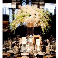 Color Theme HELPPPPP