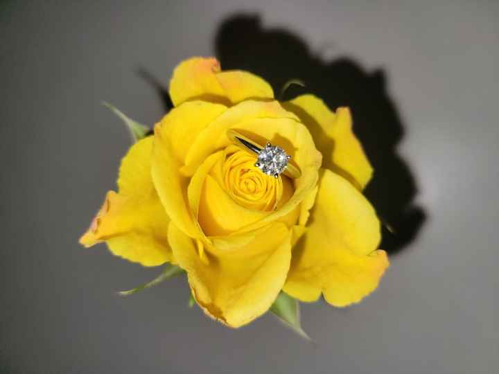 2023 Brides - Show us your ring! - 1