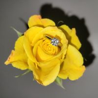 2023 Brides - Show us your ring! - 1