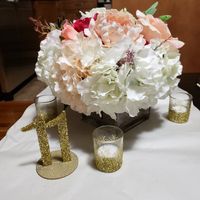 Centerpieces thoughts? - 4