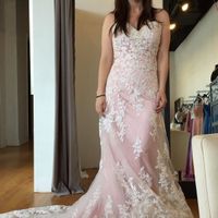 Wedding dress...ivory or pink?!