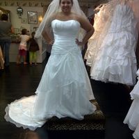 The dress you thought you had to have. And the dress you are wearing/wore on your wedding day