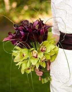 Question for all my Purple Brides