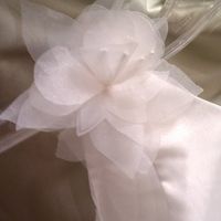 How much did your flower girl dress cost?