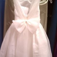 How much did your flower girl dress cost?