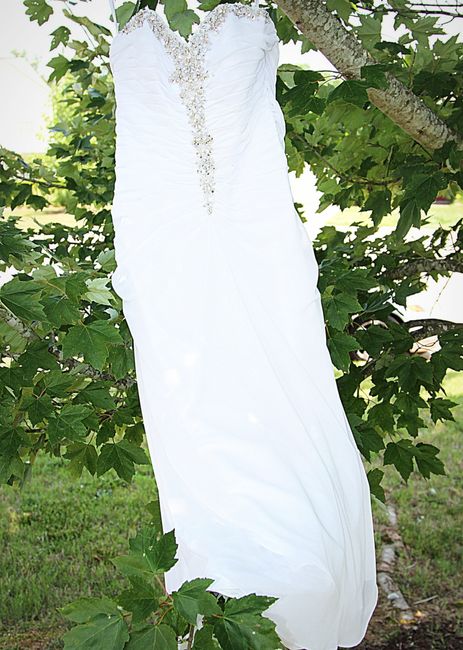 Said Yes to the Dress!