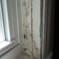 Advice needed asap - 2