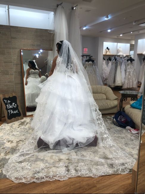 Did you say yes to the dress? - 2