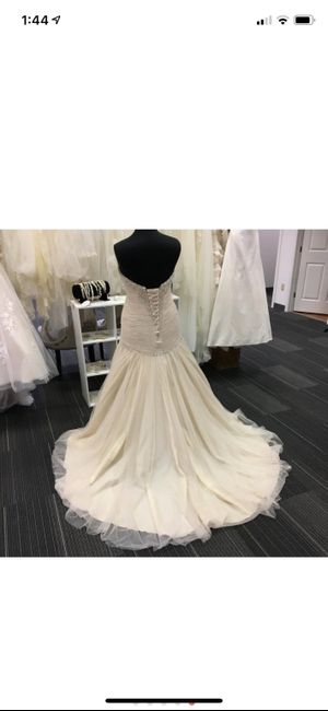 Dress color - 2