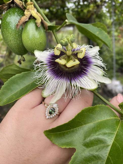 2025 Brides - Show us your ring! 10