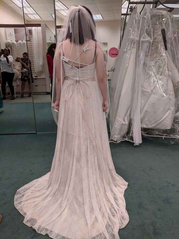 Wedding Dress Doubts - 1