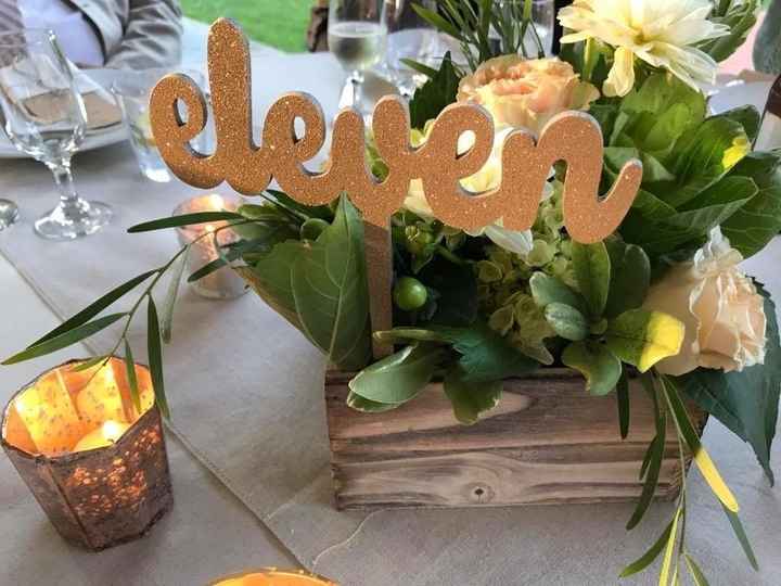 BAM! Pro-Sneaks and Non-Pro